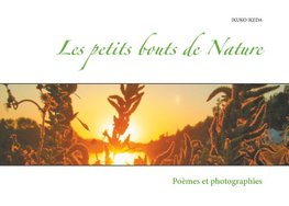 Les petits bouts de Nature