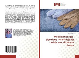 Modélisation géo-électrique (résistivité) des cavités avec différents réseaux