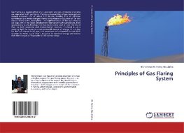 Principles of Gas Flaring System