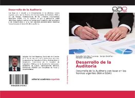 Desarrollo de la Auditoría