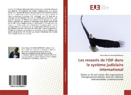 Les ressorts de l'OIF dans le système judiciaire international