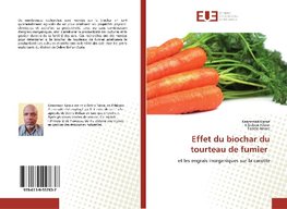 Effet du biochar du tourteau de fumier