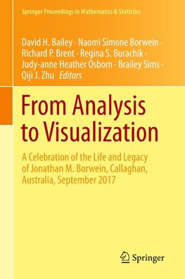 From Analysis to Visualization