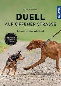 Duell auf offener Straße