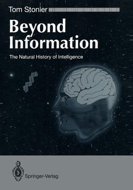 Beyond Information