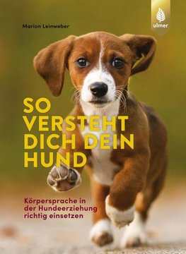 So versteht dich dein Hund