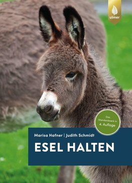 Esel halten