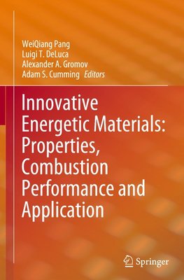 Innovative Energetic Materials: Properties, Combustion Performance and Application