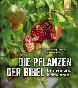 Die Pflanzen der Bibel