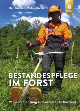 Bestandespflege im Forst