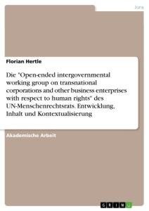 Die "Open-ended intergovernmental working group on transnational corporations and other business enterprises with respect to human rights" des UN-Menschenrechtsrats. Entwicklung, Inhalt und Kontextualisierung