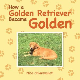 How a Golden Retriever Became Golden