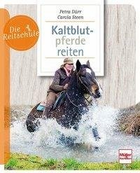 Kaltblutpferde reiten