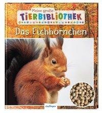 Meine große Tierbibliothek: Das Eichhörnchen