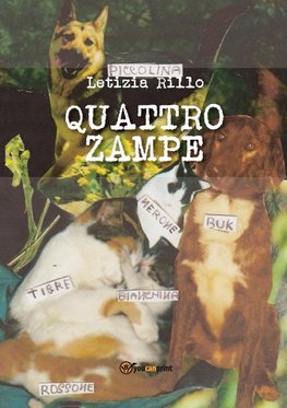 Quattro zampe