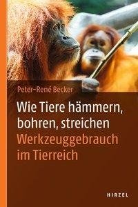 Wie Tiere hämmern, bohren, streichen