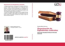 Organización de Expedientes Judiciales