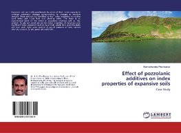 Effect of pozzolanic additives on index properties of expansive soils