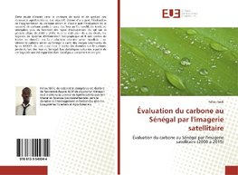 Évaluation du carbone au Sénégal par l'imagerie satellitaire