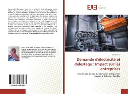 Demande d'électricité et délestage : Impact sur les entreprises