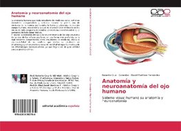 Anatomía y neuroanatomía del ojo humano