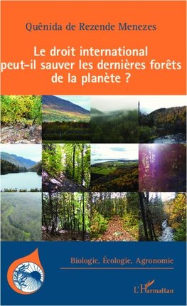 Le droit international peut-il sauver les dernières forêts de la planète ?