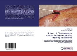 Effect of Cinnamomum tamala Leaves on Wound Healing in Diabetes