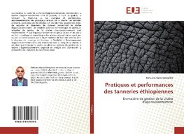 Pratiques et performances des tanneries éthiopiennes