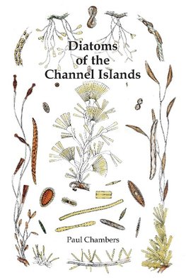 Diatoms of the Channel Islands