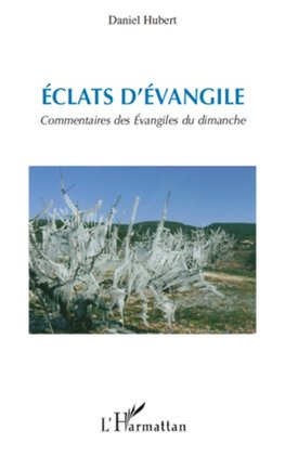 Eclats d'Evangile