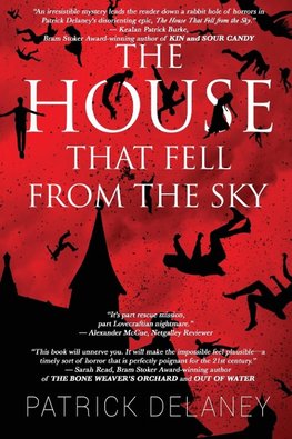 The House that fell from the Sky