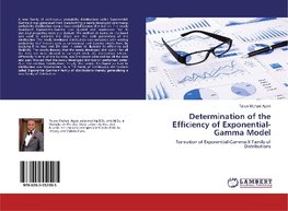 Determination of the Efficiency of Exponential-Gamma Model