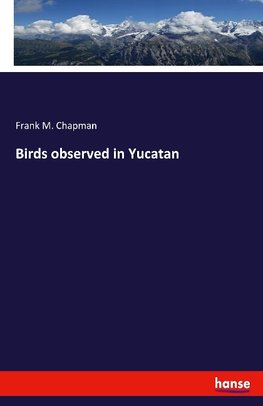 Birds observed in Yucatan