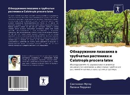 Obnaruzhenie lizozima w trubchatyh rasteniqh i Calotropis procera latex