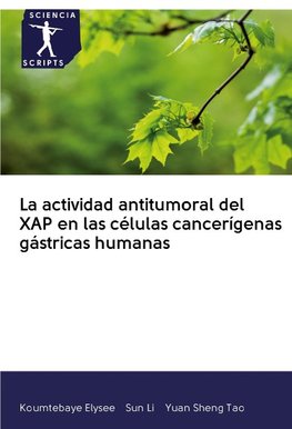 La actividad antitumoral del XAP en las células cancerígenas gástricas humanas