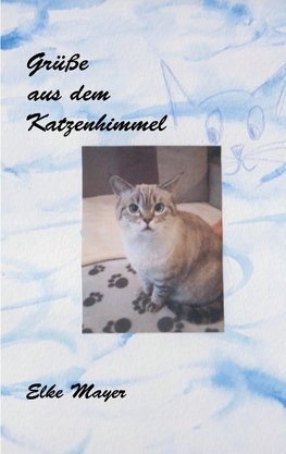 Grüße aus dem Katzenhimmel