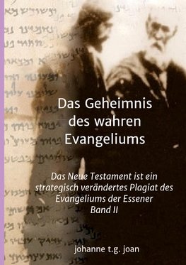 Das Geheimnis des wahren Evangeliums - Band 2