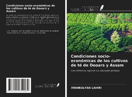 Condiciones socio-económicas de los cultivos de té de Dooars y Assam