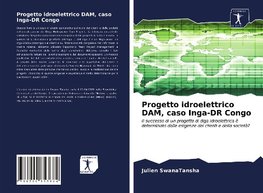 Progetto idroelettrico DAM, caso Inga-DR Congo