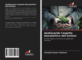 Analizzando l'aspetto biocatalitico dell'amilasi