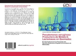 Pseudomonas aeruginosa Productora de Metalo-ß-Lactamasas en Quemados