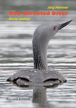 Red-throated Diver