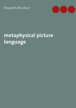 metaphysical picture language