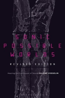 Sonic Possible Worlds