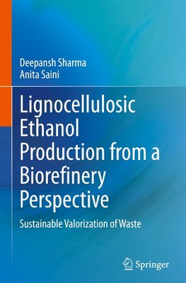 Lignocellulosic Ethanol Production from a Biorefinery Perspective