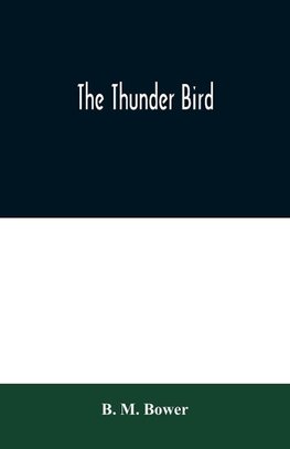 The Thunder Bird