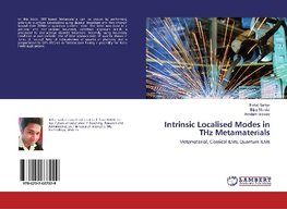 Intrinsic Localised Modes in THz Metamaterials