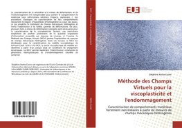 Méthode des Champs Virtuels pour la viscoplasticité et l'endommagement