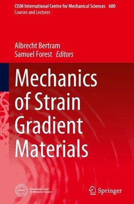 Mechanics of Strain Gradient Materials