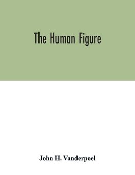 The human figure